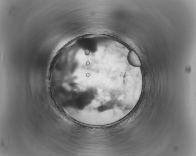 X0000091081071200709041236