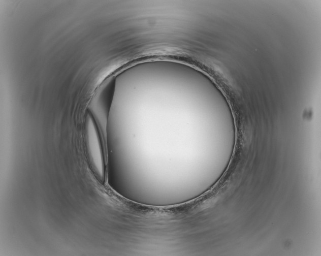 X0000091081073200709041236