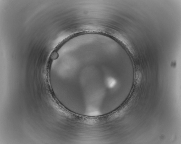 X0000091081074200709041236