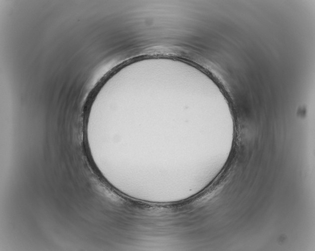 X0000091081075200709041236