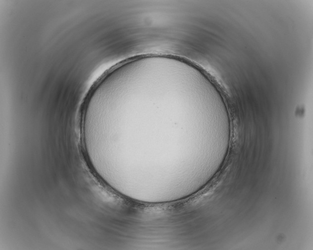 X0000091081078200709041236