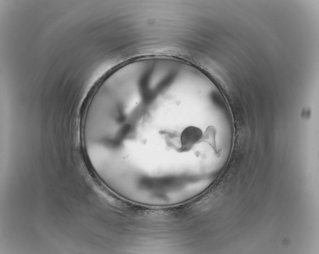 X0000091081079200709041236