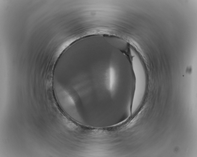 X0000091081081200709041236