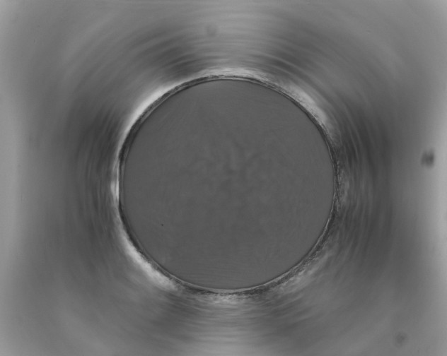 X0000091081084200709041236