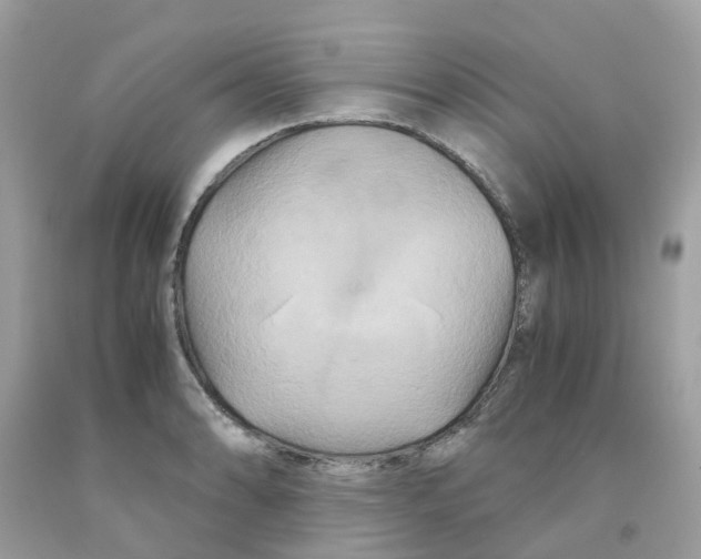 X0000091081086200709041236