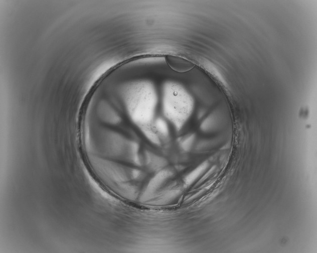 X0000091081087200709041236