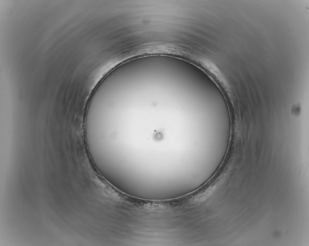 X0000091081089200709041235