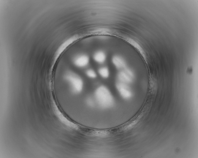 X0000091081090200709041235