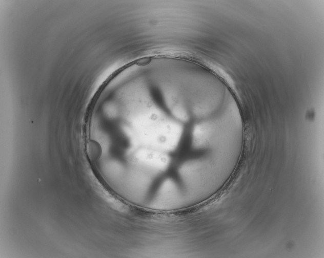 X0000091081091200709041235