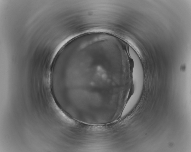 X0000091081092200709041235