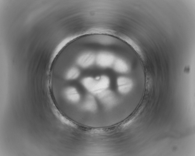 X0000091081094200709041235