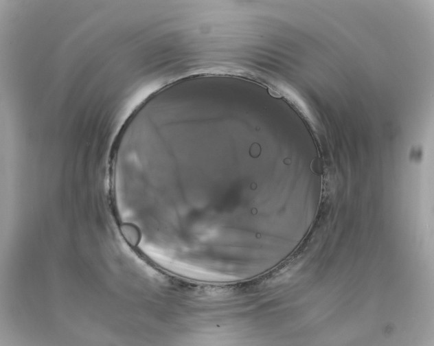 X0000091081095200709041235