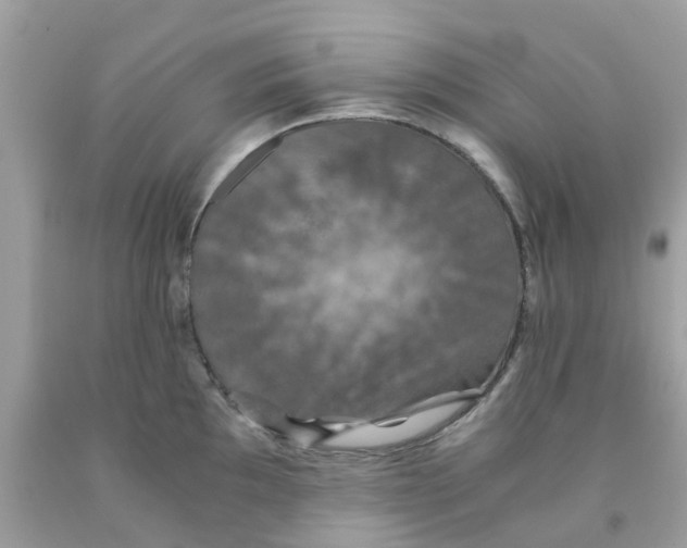 X0000091081097200709041235