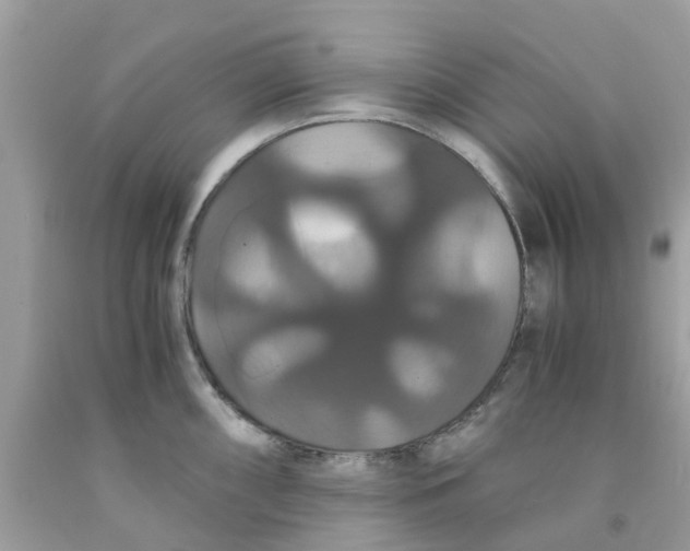 X0000091081098200709041235