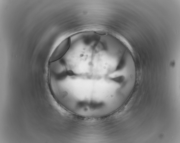 X0000091081099200709041235