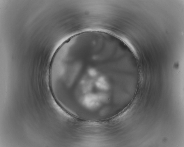 X0000091081100200709041235