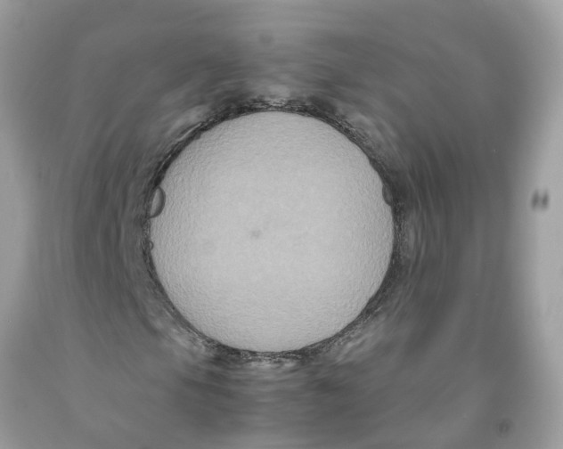 X0000091081105200709041235