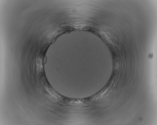 X0000091081106200709041235