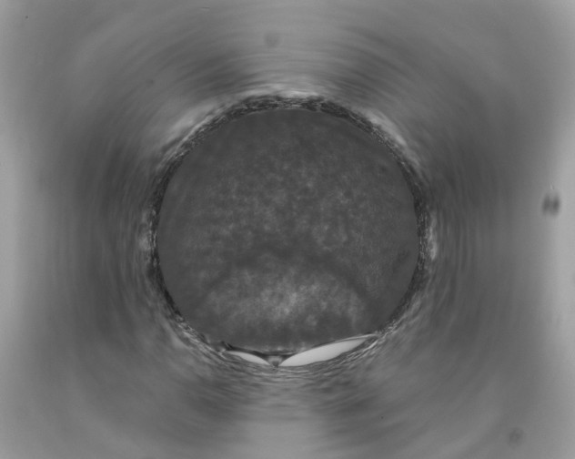 X0000091081110200709041235