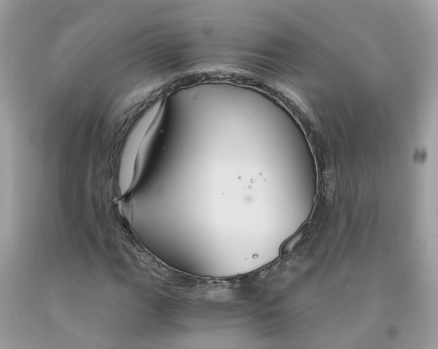 X0000091081111200709041235