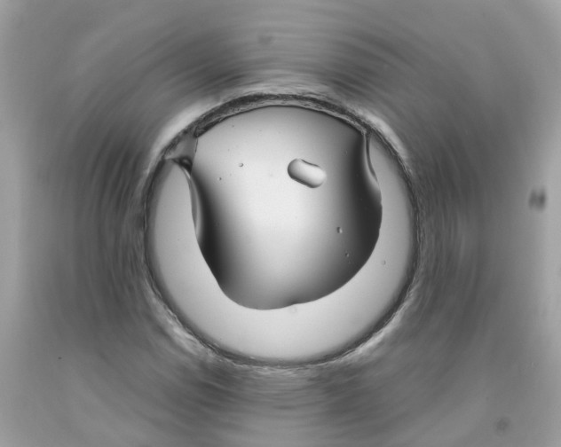 X0000091081114200709041235