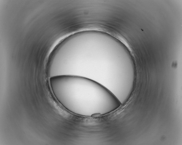 X0000091081116200709041235