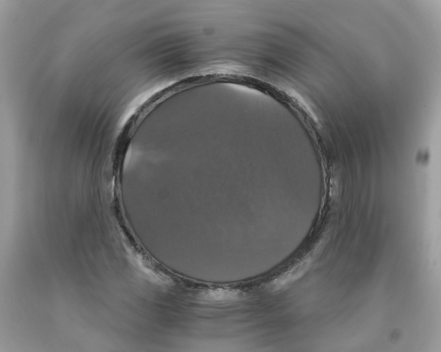 X0000091081117200709041235