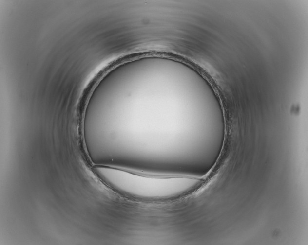 X0000091081118200709041235