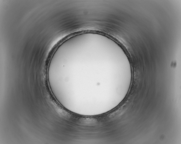 X0000091081119200709041235