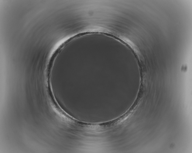 X0000091081120200709041235