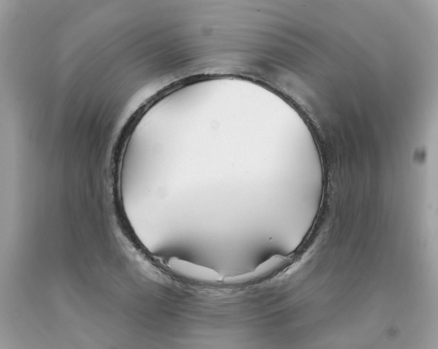 X0000091081122200709041235