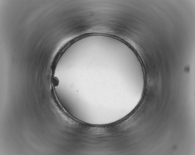 X0000091081123200709041235