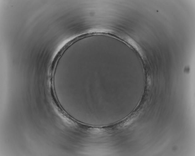 X0000091081124200709041235