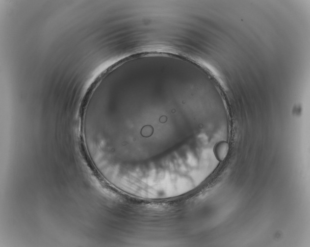 X0000091081125200709041235