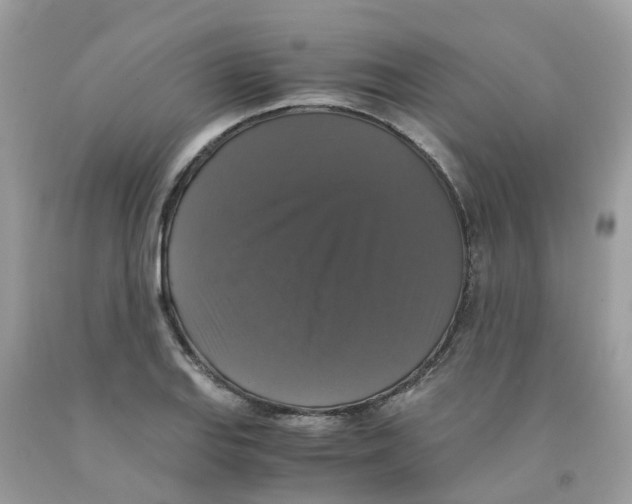 X0000091081127200709041235