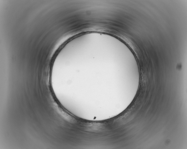 X0000091081131200709041235