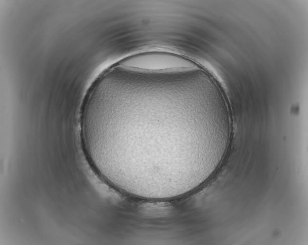 X0000091081133200709041235