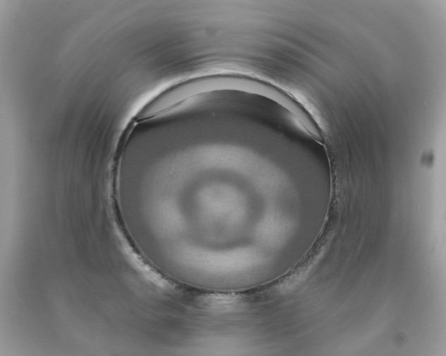 X0000091081134200709041235