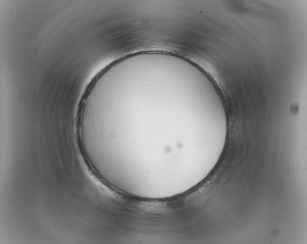 X0000091081135200709041235