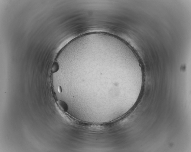 X0000091081137200709041235