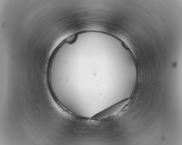 X0000091081139200709041235