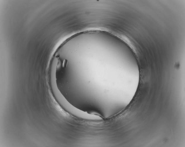 X0000091081140200709041235