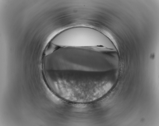 X0000091081141200709041235