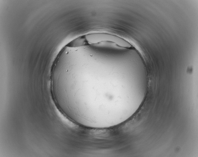 X0000091081143200709041235