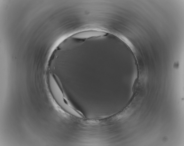 X0000091081144200709041235