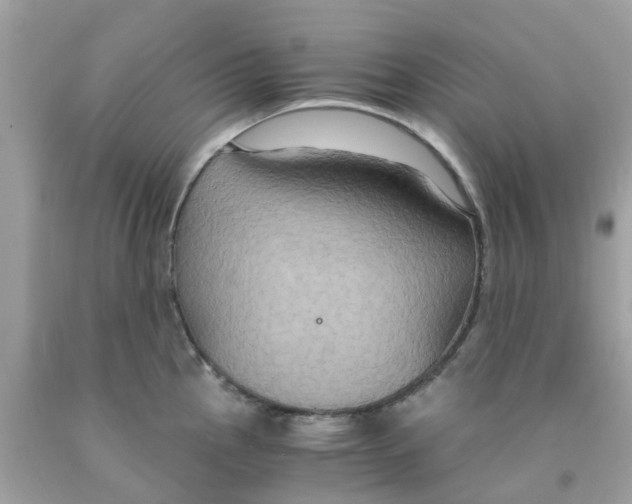 X0000091081145200709041235