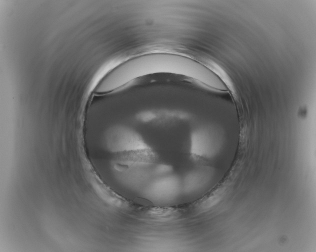 X0000091081146200709041235