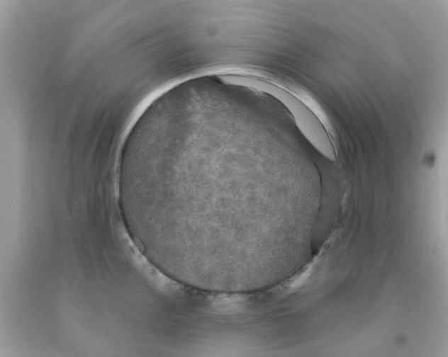 X0000091081148200709041235