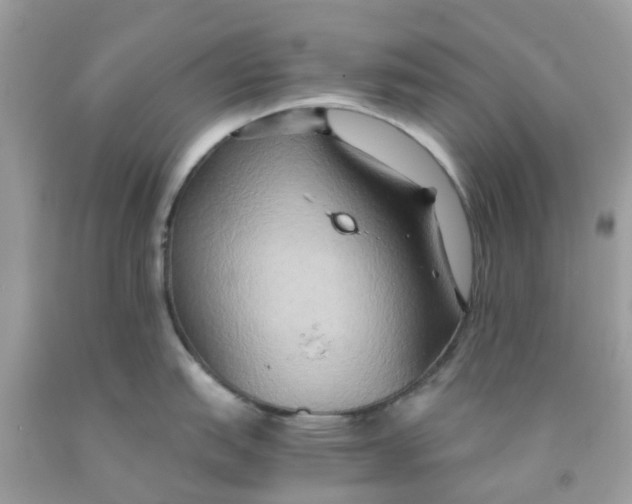 X0000091081151200709041235