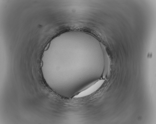 X0000091081153200709041235